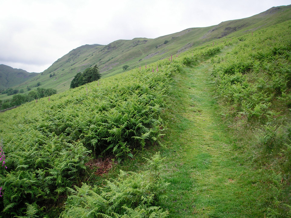 path-to-high-dodd