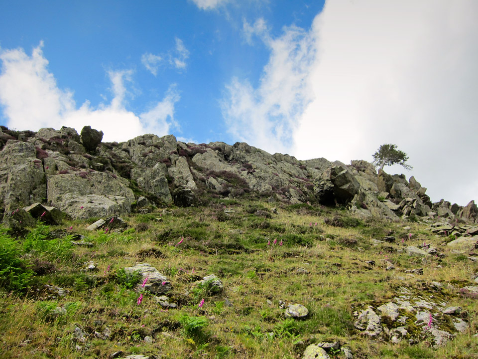 craggy-outcrop-gowbarrow